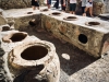 Herculaneum Walking Tour [16/10/2019]