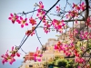 Exploring Positano [15/10/2019]