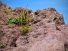 Vesuvio Hike [13/10/2019]