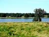 Tatton Lake Walk, Knutsford