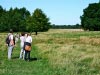 Tatton Lake Walk, Knutsford