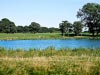 Tatton Lake Walk, Knutsford