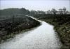 Shutlingsloe & Teggs Nose Walk [22/01/17]