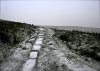 Shutlingsloe & Teggs Nose Walk [22/01/17]