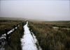 Shutlingsloe & Teggs Nose Walk [22/01/17]