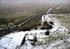 Shutlingsloe & Teggs Nose Walk [22/01/17]