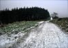 Shutlingsloe & Teggs Nose Walk [22/01/17]