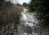 Shutlingsloe & Teggs Nose Walk [22/01/17]