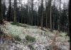 Shutlingsloe & Teggs Nose Walk [22/01/17]