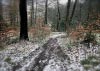 Shutlingsloe & Teggs Nose Walk [22/01/17]