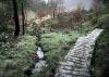 Shutlingsloe & Teggs Nose Walk [22/01/17]