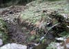 Shutlingsloe & Teggs Nose Walk [22/01/17]