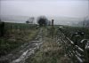 Shutlingsloe & Teggs Nose Walk [22/01/17]