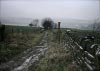 Shutlingsloe & Teggs Nose Walk [22/01/17]