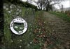 Shutlingsloe & Teggs Nose Walk [22/01/17]