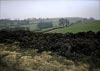 Shutlingsloe & Teggs Nose Walk [22/01/17]