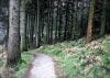 Shutlingsloe & Teggs Nose Walk [22/01/17]