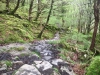 Capel Curig to Swallow Falls Loop