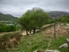 Capel Curig to Swallow Falls Loop