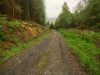 Capel Curig to Swallow Falls Loop