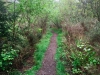 Capel Curig to Swallow Falls Loop