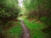 Capel Curig to Swallow Falls Loop