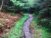 Capel Curig to Swallow Falls Loop