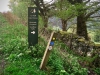 Capel Curig to Swallow Falls Loop