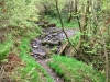 Capel Curig to Swallow Falls Loop