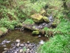 Capel Curig to Swallow Falls Loop