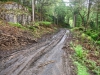 Capel Curig to Swallow Falls Loop