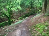 Capel Curig to Swallow Falls Loop