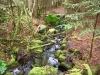 Capel Curig to Swallow Falls Loop