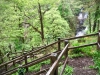 Capel Curig to Swallow Falls Loop