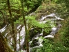 Capel Curig to Swallow Falls Loop