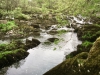 Capel Curig to Swallow Falls Loop