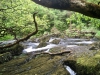 Capel Curig to Swallow Falls Loop