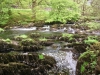 Capel Curig to Swallow Falls Loop