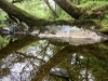 Capel Curig to Swallow Falls Loop