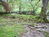 Capel Curig to Swallow Falls Loop