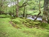 Capel Curig to Swallow Falls Loop