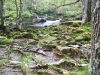 Capel Curig to Swallow Falls Loop