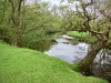 Capel Curig to Swallow Falls Loop