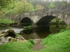 Capel Curig to Swallow Falls Loop