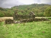 Capel Curig to Swallow Falls Loop