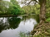 Capel Curig to Swallow Falls Loop