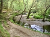 Capel Curig to Swallow Falls Loop