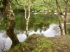 Capel Curig to Swallow Falls Loop