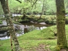 Capel Curig to Swallow Falls Loop