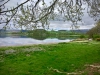 Llangower Walk & Bala Lake Railway